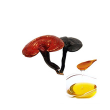 Ganoderma Lucidum Reishi Mushroom Spore Oil